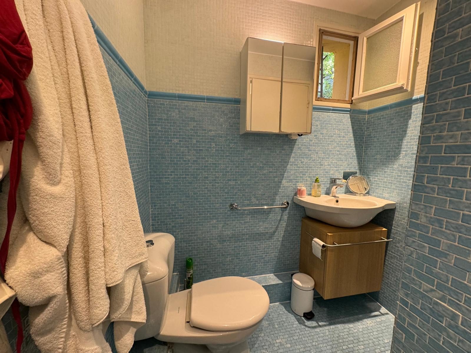 Second bathroom with blue mosaic tiles, basin and WC