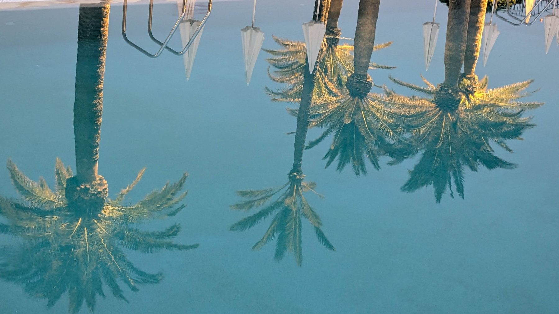 Palm trees and umbrellas reflected in the Summer Club pool